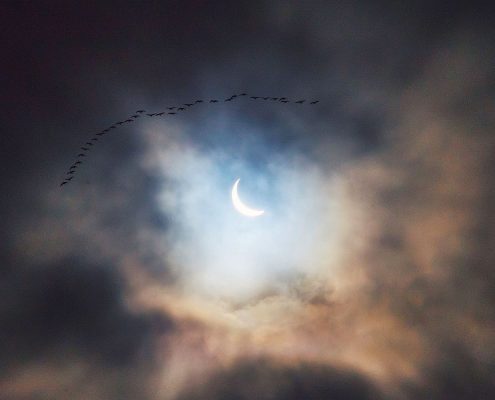 [Photo: Paul Rysz via Unsplash]